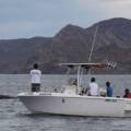 Andrew G. – Amazing experience! Highlight of our whole trip